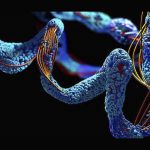 antifreeze-proteins-market-worth-$50-million-by-2028-–-exclusive-report-by-marketsandmarkets