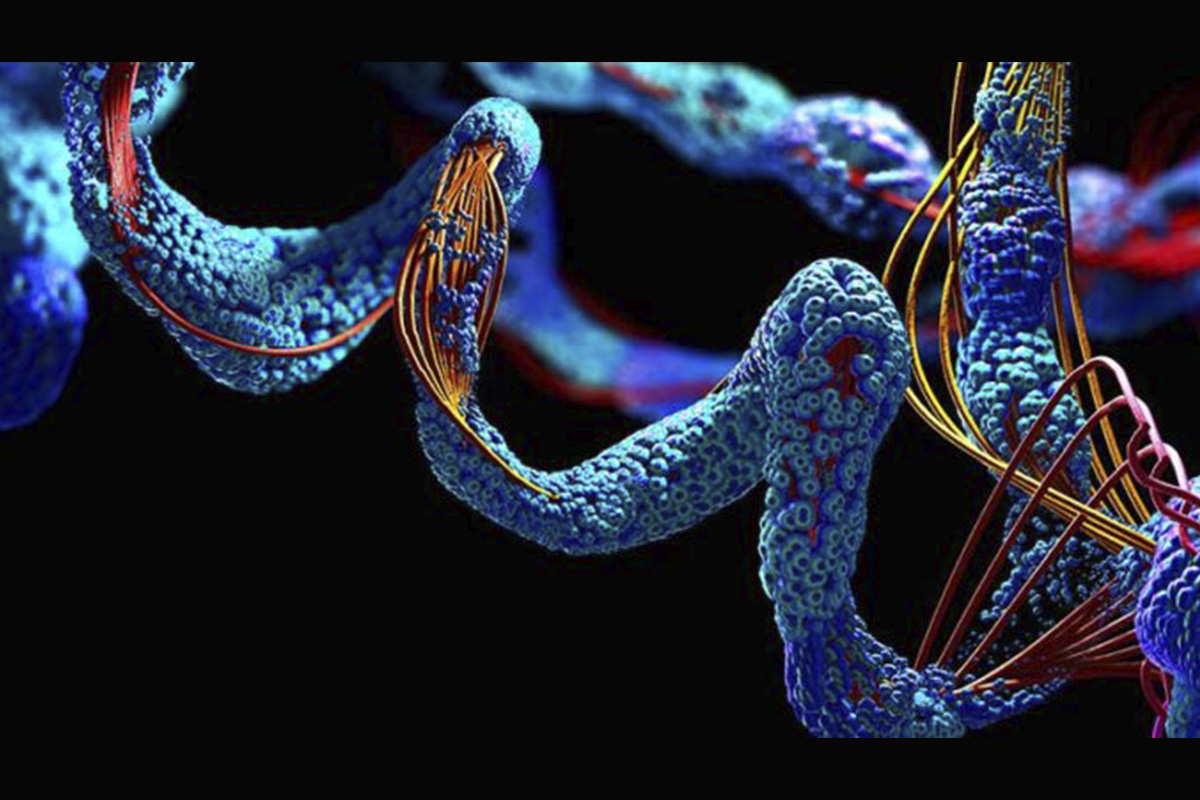 antifreeze-proteins-market-worth-$50-million-by-2028-–-exclusive-report-by-marketsandmarkets