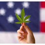 major-cannabis-industry-media-outlets-recognize-cfcr’s-efforts-to-support-fda-regulation-of-cbd