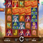 box-your-way-to-the-top-with-kangaroo-king-from-stakelogic