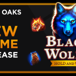 embark-on-a-chilling-adventure-in-3-oaks-gaming’s-black-wolf-2:-hold-and-win