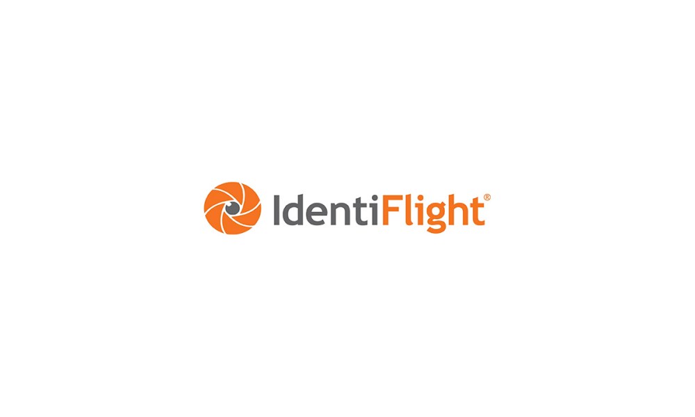 identiflight-to-study-bird-species-at-first-south-african-site