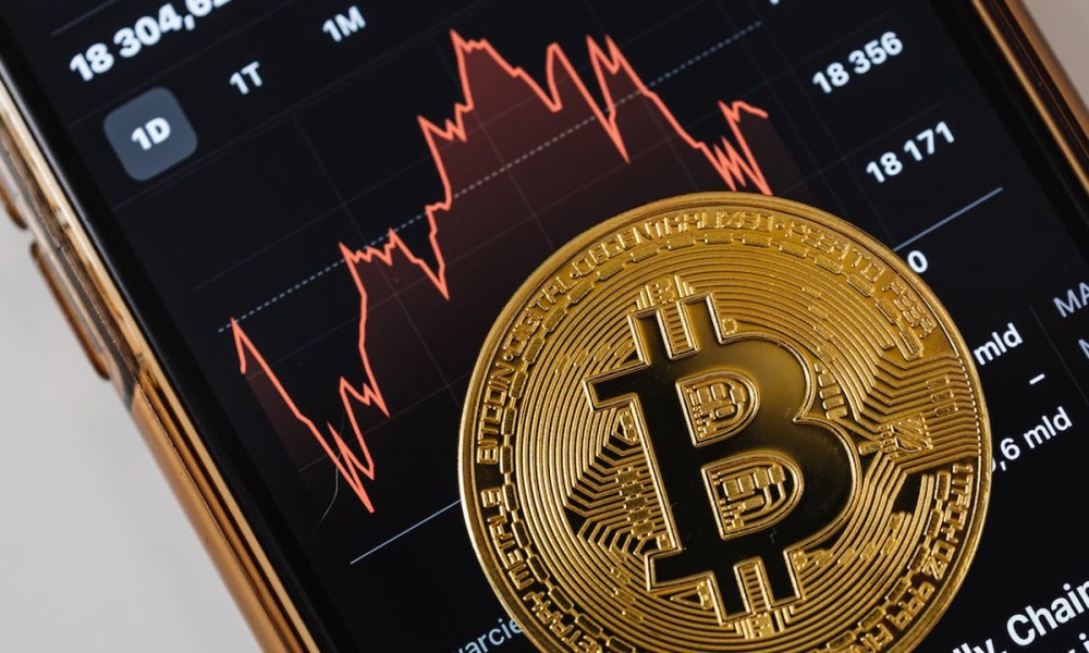 data-reveals-slovenia-is-home-to-the-most-crypto-enthusiasts-worldwide