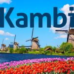 kambi-group-plc-signs-online-sportsbook-partnership-with-fast-growing-dutch-operator-711