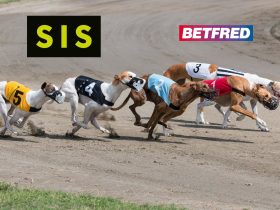 sis-signs-long-term-partnership-with-betfred-for-continued-greyhound-racing-coverage