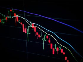 gambling-investments-101:-a-guide-for-the-modern-investor