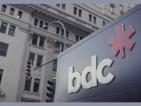 bdc-announces-new-$50-million-envelope-to-invest-in-emerging-start-ups