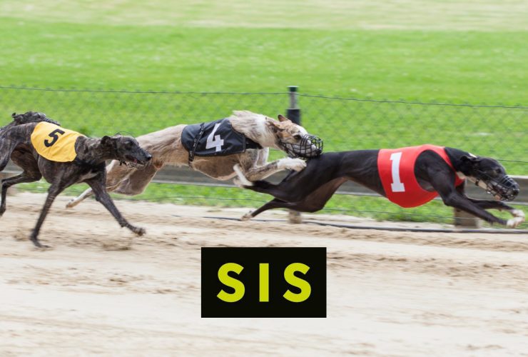 sis-to-deliver-dynamic-new-greyhound-racing-schedule-to-global-operators-in-2024