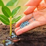 agricultural-micronutrients-market-worth-$6.9-billion-by-2028-–-exclusive-report-by-marketsandmarkets