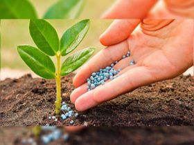 agricultural-micronutrients-market-worth-$6.9-billion-by-2028-–-exclusive-report-by-marketsandmarkets