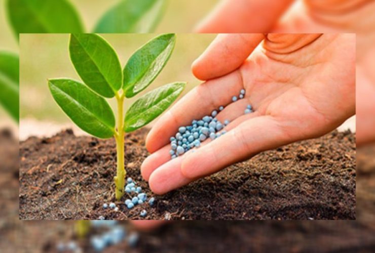 agricultural-micronutrients-market-worth-$6.9-billion-by-2028-–-exclusive-report-by-marketsandmarkets
