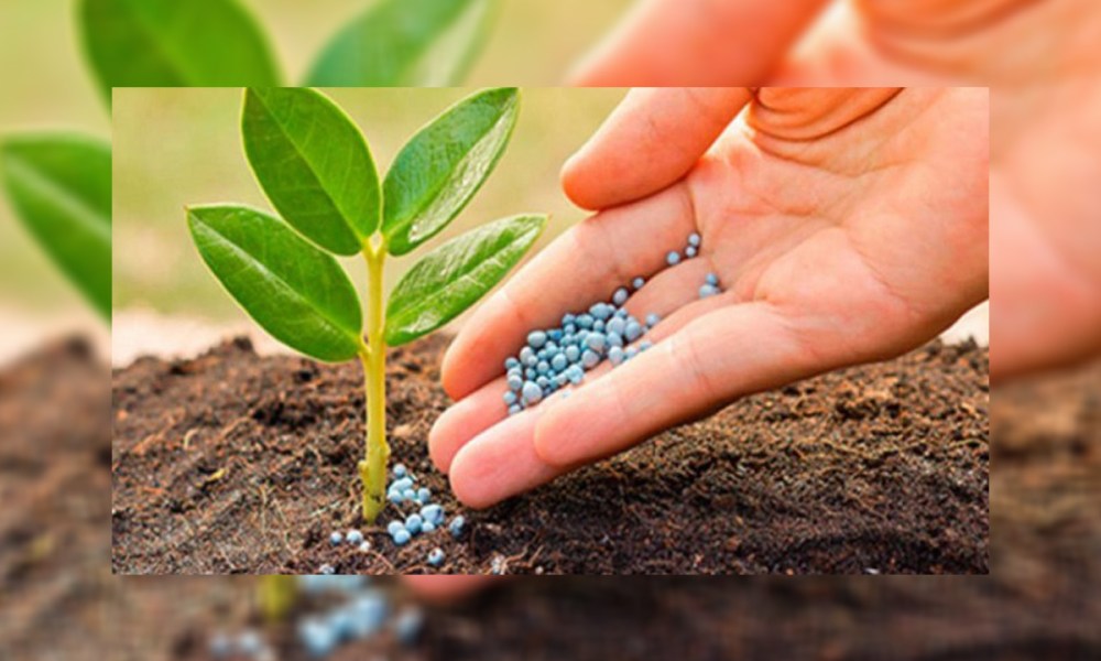 agricultural-micronutrients-market-worth-$6.9-billion-by-2028-–-exclusive-report-by-marketsandmarkets