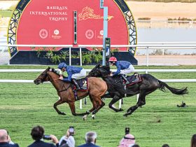 bahrain-international-trophy-to-be-shown-by-record-number-of-broadcasters