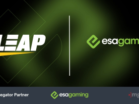 esa-gaming-expands-aggregation-offering-with-leap-gaming-partnership