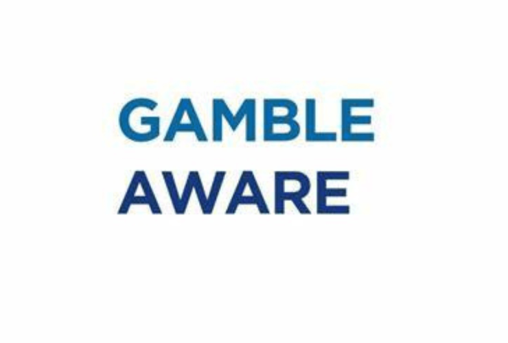 gambleaware-to-offer-peer-support-for-those-experiencing-gambling-harm-in-2024