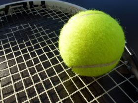 slovenian-tennis-official-banned-for-betting-on-matches-and-data-manipulation