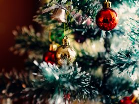 btg’s-‘christmas-catch’-slot-hits-evolution-network-december-1