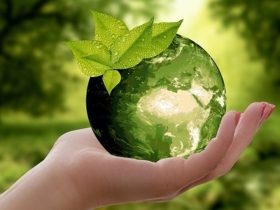 biorational-pesticides-market-worth-$15.1-billion-by-2028-–-exclusive-report-by-marketsandmarkets