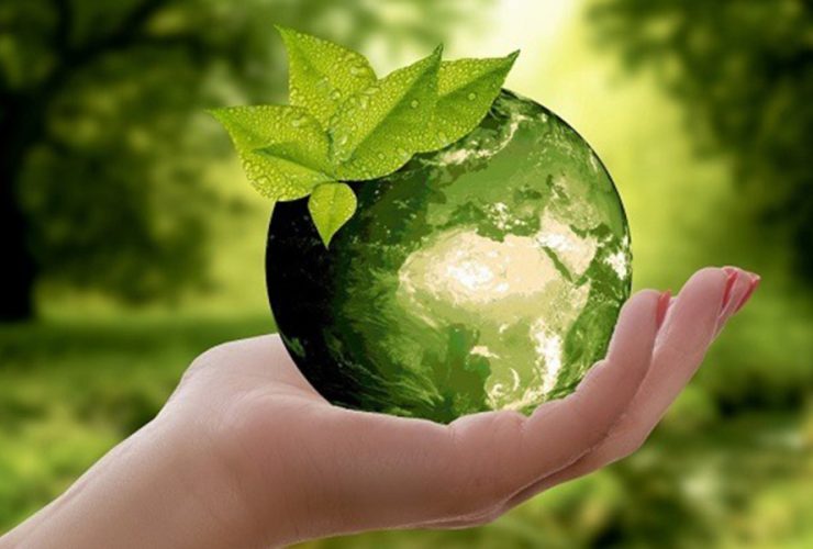 biorational-pesticides-market-worth-$15.1-billion-by-2028-–-exclusive-report-by-marketsandmarkets