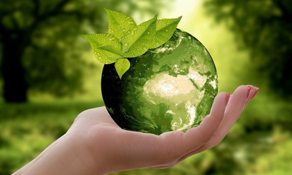 biorational-pesticides-market-worth-$15.1-billion-by-2028-–-exclusive-report-by-marketsandmarkets
