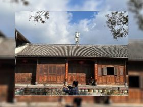 china-daily:-digital-tech-helps-rural-economies-thrive