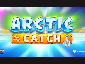 brave-the-cold-in-yggdrasil-release-arctic-catch