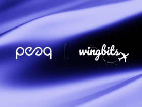 wingbits-brings-hundreds-of-flight-data-trackers-to-peaq-to-decentralize-aerial-tracking