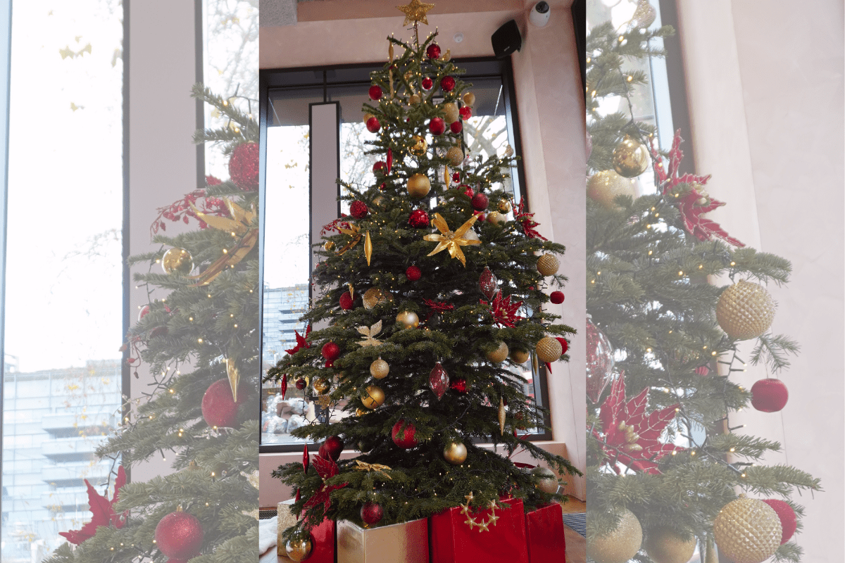 future-anthem-reaffirms-its-christmas-charity-commitment-with-second-annual-great-ormond-street-donation