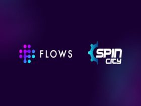 spincity-solutions-signs-with-flows