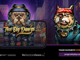 pragmatic-play-embarks-on-a-wild-adventure-with-the-big-dawgs