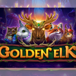 wizard-games-journeys-into-a-magical-mystery-world-in-golden-elk