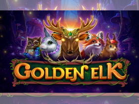 wizard-games-journeys-into-a-magical-mystery-world-in-golden-elk
