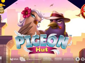 ruffle-some-feathers-in-the-big-city-with-pigeon-hut