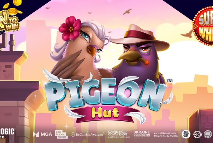 ruffle-some-feathers-in-the-big-city-with-pigeon-hut