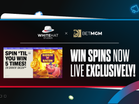 betmgm-exclusively-launches-win-spins-promotional-offer-with-white-hat-studios