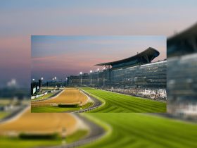 live-horse-racing-data-giants-agree-landmark-merger
