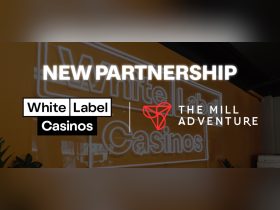 white-label-casinos-partners-with-the-mill-adventure-to-deliver-a-fully-bespoke-platform offering