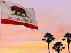 california-gambling-control-commission-to-host-gaming-policy-advisory-committee-meeting