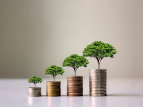 bettormetrics-secures-series-a-funding-from-bettor-capital-and-velo-partners