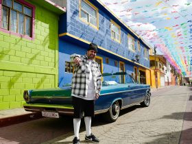 dogge-doggelito-becomes-the-new-brand-ambassador-of-gogocasino