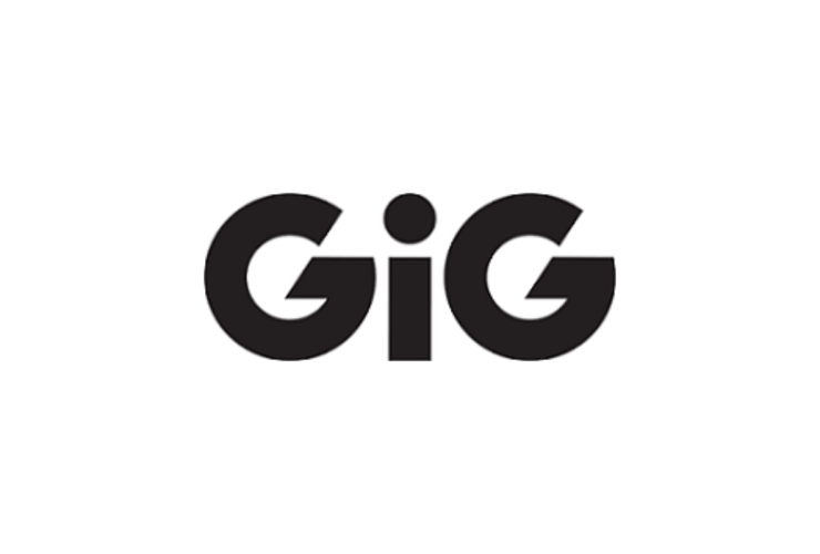 gaming-innovation-group-–-exercise-of-options-and-mandatory-notification-of-trade