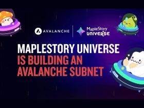 maplestory-universe-enters-into-a-strategic-partnership-with-avalanche