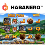 habanero-invites-players-to-brave-the-elements-in-wild-flow