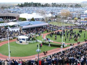 cheltenham-and-grand-national-2025-start-now