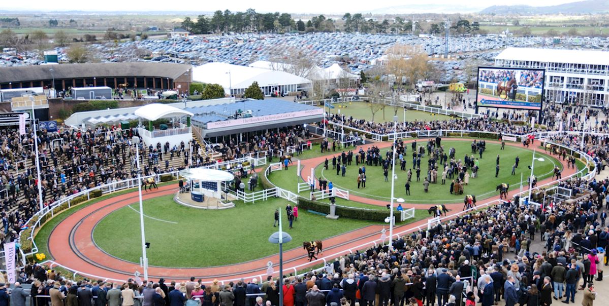 cheltenham-and-grand-national-2025-start-now