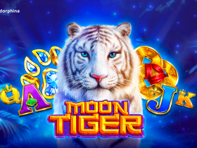 endorphina-introduces-its-newest-title-–-moon-tiger!