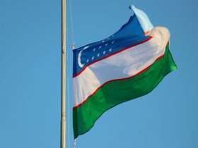 uzbekistan-legalises-online-betting-and-lotteries