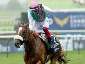 world-pool-returns-to-uk-and-ireland-with-launch-of-50,000-jockeys’-charity-prize