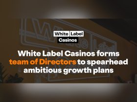 white-label-casinos-forms-team-of-directors-to-spearhead-ambitious-growth-plans