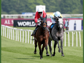 record-world-pool-turnover-on-lockinge-stakes-day-at-newbury